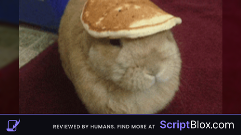 Bhop script lol