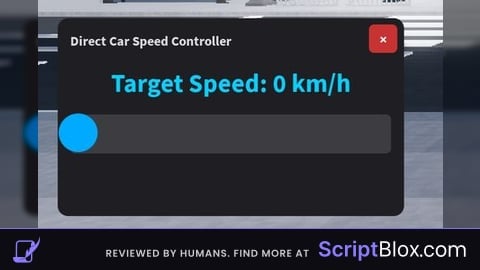 Direct Car Speed Controller