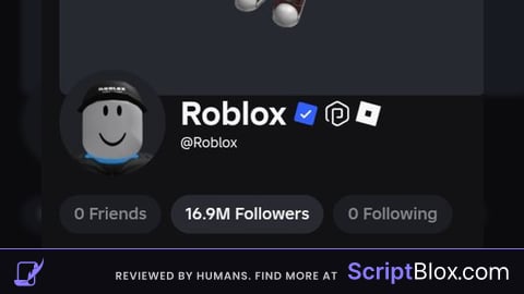 Developer icon