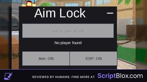 Aim lock