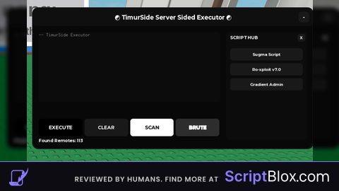 TimurSide backdoor