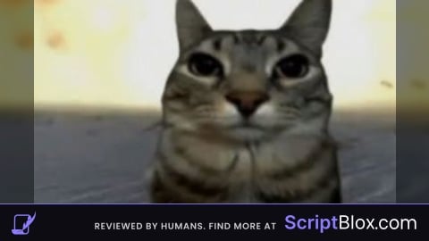 dont Use This Script