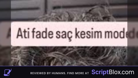 -- [[ Rscripts Risk Notice ]] -- This script is not verified