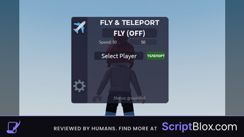simple fly X teleporter