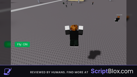 simple fly (open source)