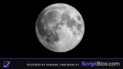 Sledge hammer f3x