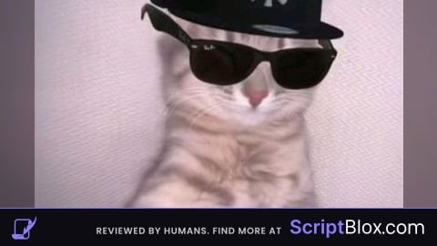 HDX Script