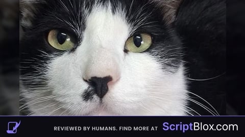 Sisyphus prime slap battles script