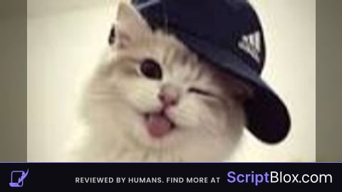 Macro script (BETA)
