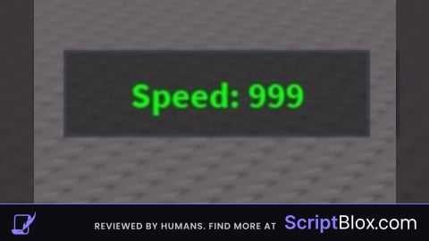 Speed Adjuster