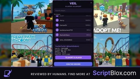 VEIL | TP TO ANY PLAYER | INSTANT | BYPASS | MOBILE+PC