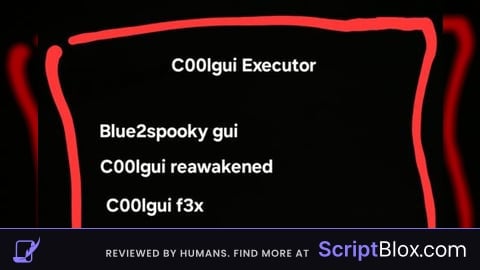 C00lgui Executor