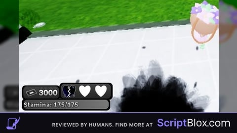 Fixed script of dws goobispowerful