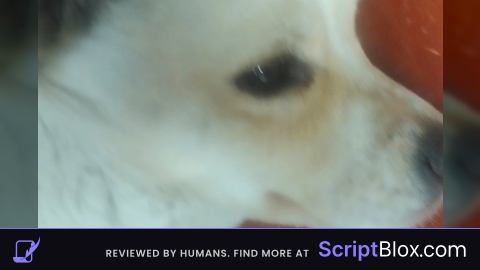 a script for genos