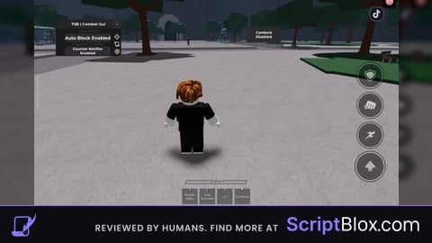Combat Gui