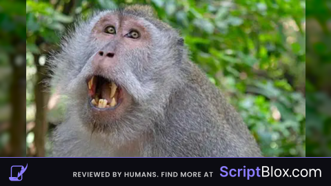 MONKEY HUB TELEPORT BYPASS UNDETECTED 50 FT