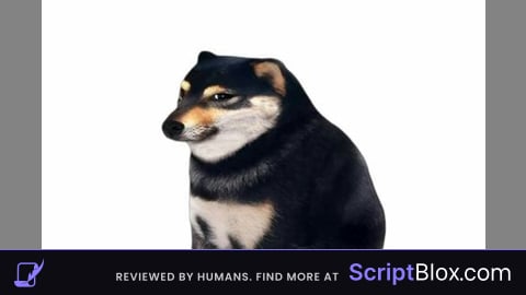 PoPoPoo Hub
