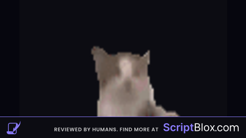 suggestion script BTW PLEASE COMMENT  SCRIPT