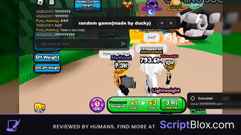 Op script admin script