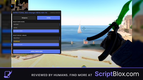 Expectional Dev Skinchanger Undetected