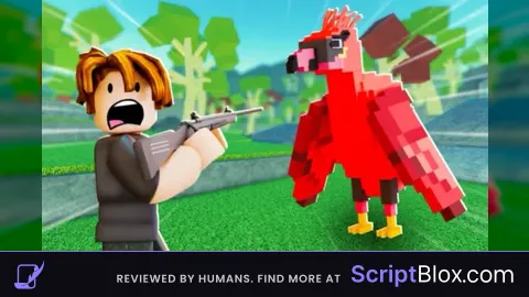 Op Script