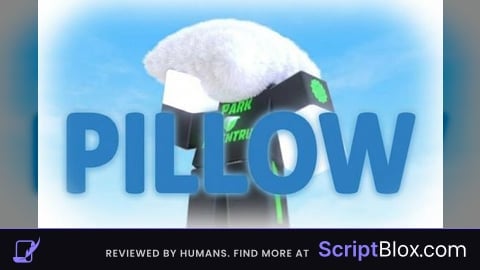 FE Pillow