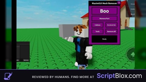 MaximGUI  Mesh Remover v2
