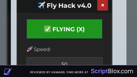 Fly script