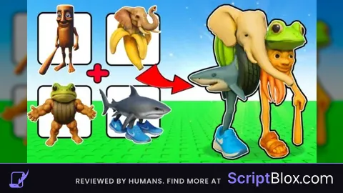 Silent Scripts   No Key