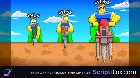 OP SCRIPT
