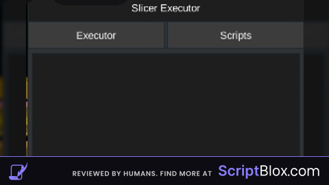 Slicer Executor