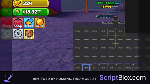 Duplicate Inventory Infinite Money 3 TYPES ETC