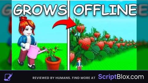 OP SCRIPT