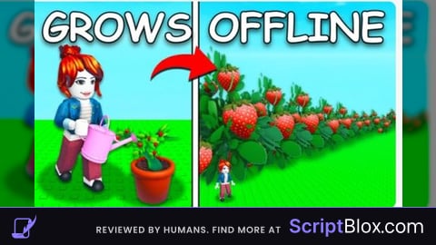OP SCRIPT