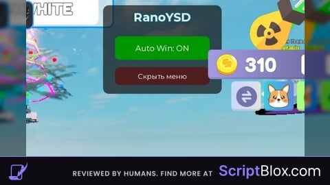Auto win RANOYSD