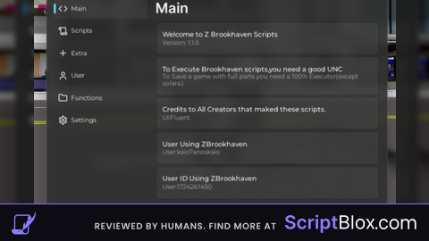 Z Brookhaven Scripts