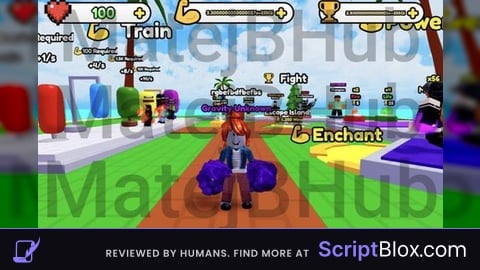 INF EVERYTHING | MB Hub