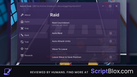 OP AUTO RAID