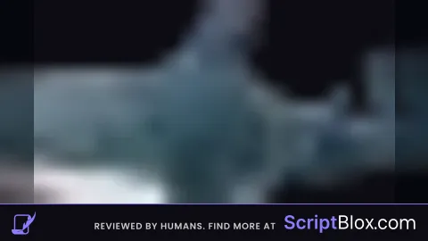 most   scripts i could find
