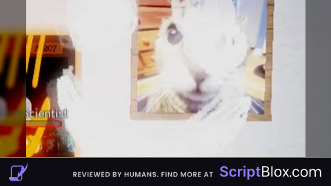 RedLoops Studios DOORS Script