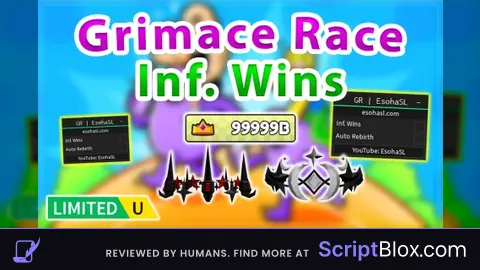 Inf. Wins / Auto Rebirth