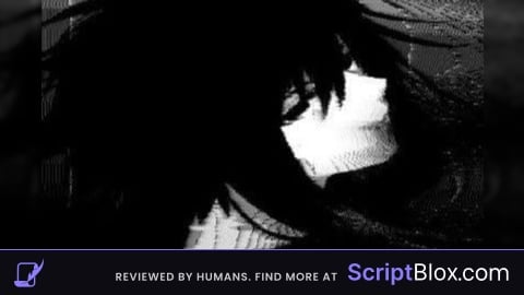 Van Script V3 Palhocos