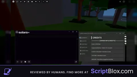 BEST SCRIPT SUPPORT SOLARA
