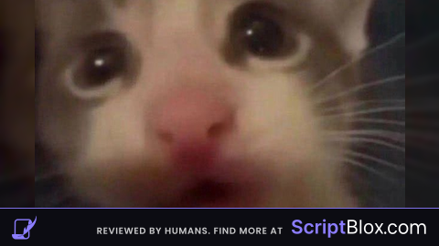 BEST TSB WITH GUNS SCRIPT