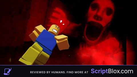 Script  Op | New & Better