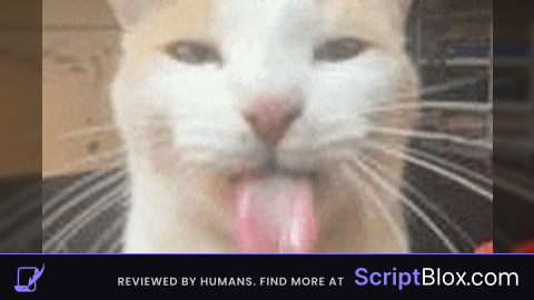 0 Gravity Gay Script OPEN SOURCE