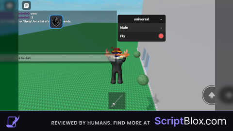 Fly script