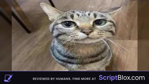 httpspy