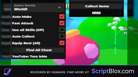 Kingdom    Script