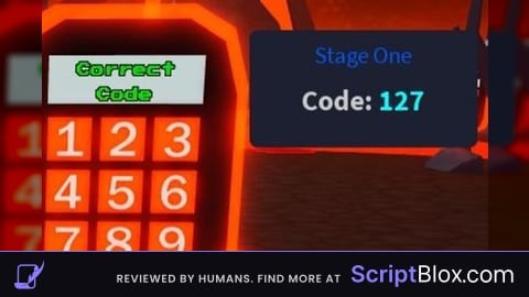 code view